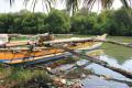 04- Negombo (vstajanje z ribiči /Fish Market in s čolnom po laguni) : 24.04.2017