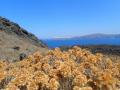 3.8.2020: Celodnevni izlet z ladjico - po vulkanskih poteh 3 otokov (Nea Kameni, Palia Kameni in Thirasia)