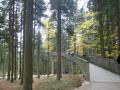 1.11.2018: Hoja po gozdni poti 30m nad tlemi v parku Waldwipfelweg, vstop v "narobe hišo" in obisk mesta Nürnberg